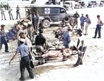 Some of the 93 Indianapolis survivors delivered to Peleliu by the USS Cecil J Doyle, 4 Aug 1945