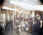 Dynamo room aboard USS Oregon, circa 1898