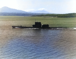 Port view of USS Tunny, off US Territory of Hawaii, circa mid-1950s