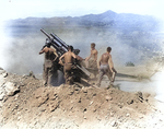 105mm Howitzer M2A1 crew of 64th Field Artillery Battalion, US 25th Infantry Division near Uirson, Korea, 27 Aug 1950