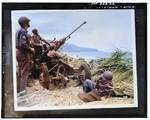 American 40mm Bofors anti-aircraft gun crew on an Algerian beach, North Africa, 1943