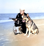 United States Coast Guardsman with M50 Reising submachine gun and dog on a beach in the United States, circa 1941-1945