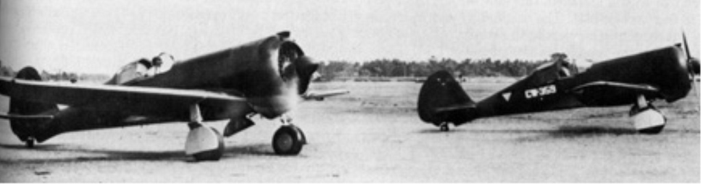 Dutch CW-21 B fighters in the Dutch East Indies, 1941