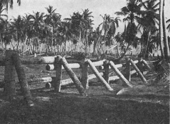 Japanese anti-tank barricade on Makin, Gilbert Islands; seen in US Army publication TM E 30-480 'Handbook On Japanese Military Forces' dated 15 Sep 1944