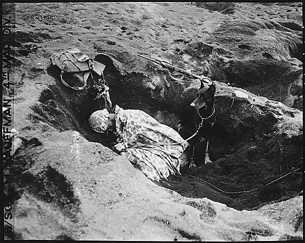 Pfc Reg P. Hester, 7th War Dog Platoon, 25th Regiment, United States Marine Corps took a nap while Dutch, his war dog, stood guard, Iwo Jima, Feb 1945