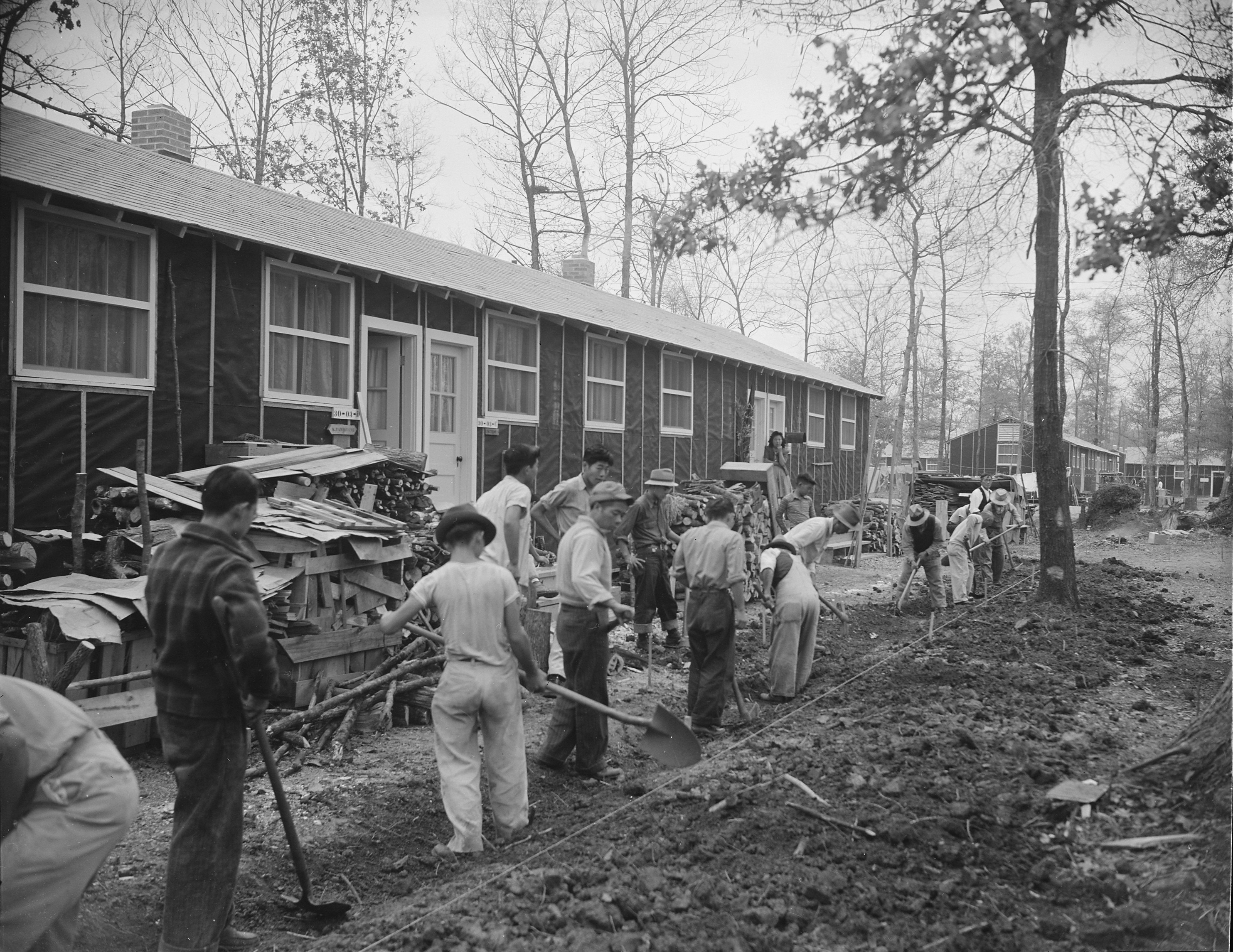 Men digging drainage ditches between barracks buildings, Jerome War Relocation Center, Arkansas, United States, 16 Nov 1942