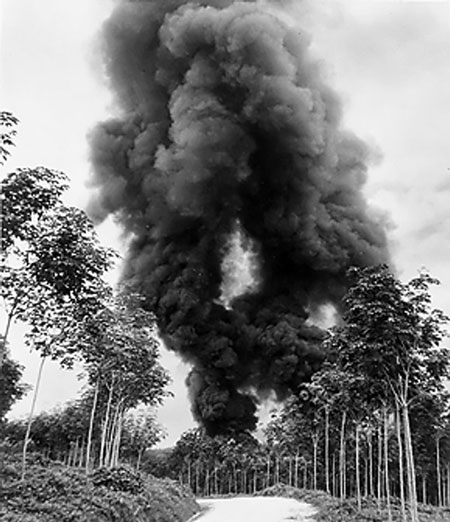 A column of smoke from burning rubber at a Malayan rubber plantation, Dec 1941