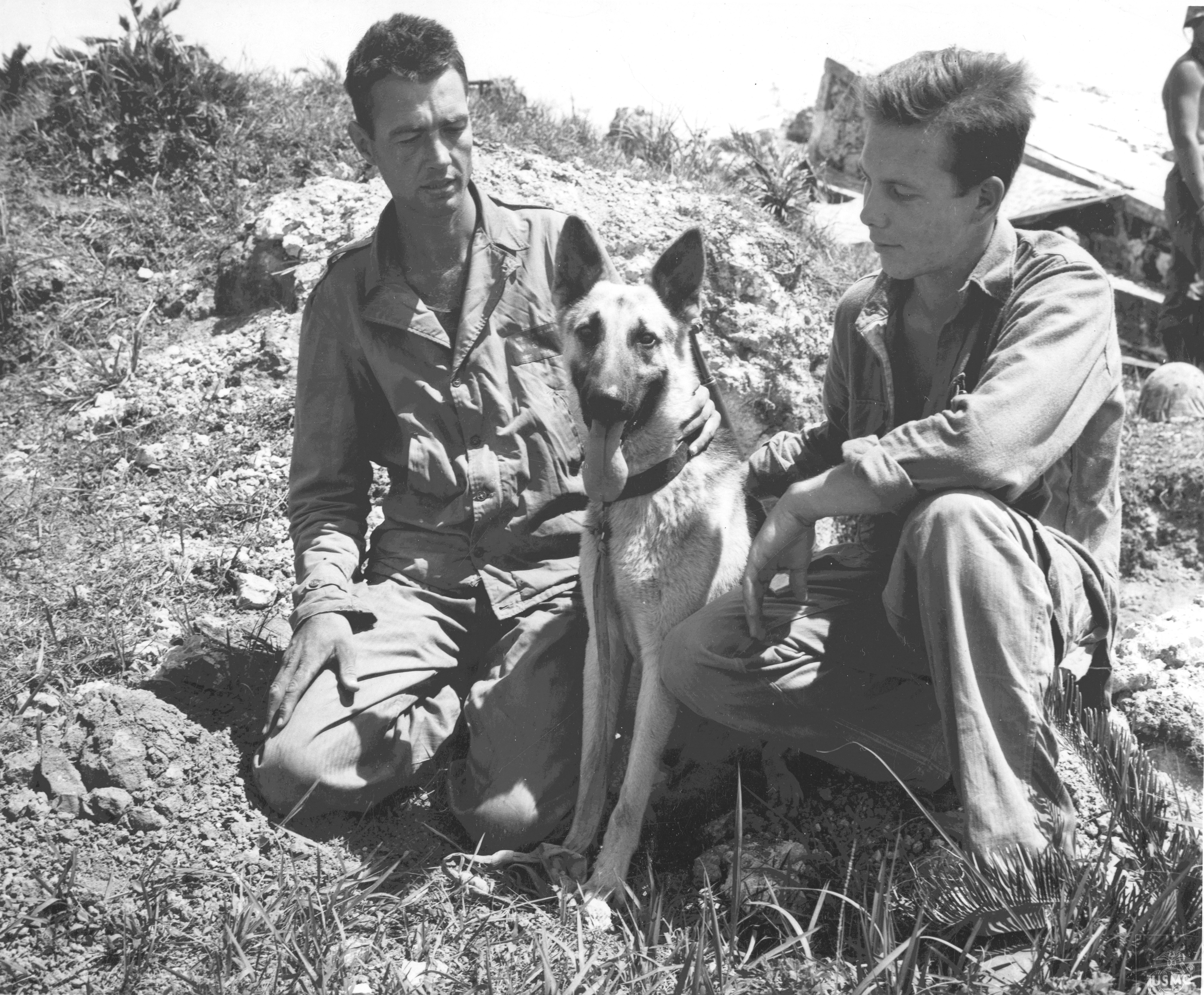US Marines 1st Lieutenant Merril McLane and Corporal Howard Cox with stray dog Motobu on Okinawa, Japan, 1945
