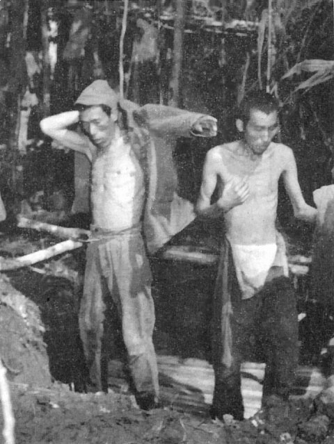 Two Japanese soldiers captured at Ilangana Peninsula, New Georgia, Solomon Islands, mid-1943
