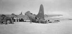 US B-17F “All-American” of 414th BS, 97th BG on the ground at its base in Biskra, Algeria showing severe damage from a mid-air collision with a German fighter over Tunis, Tunisia, 1 Feb 1943. Photo 2 of 8.