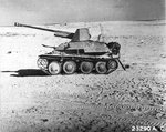 SdKfz 138-139 Marder III with Russian 7.62cm anti-tank gun abandoned in North Africa, 1943.