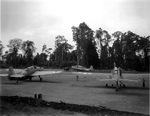 TBF-1 Avengers getting ready to take off from Piva airstrip, Bougainville, Solomons for a strike against Rabaul, New Britain, 1944. Note differences in the National Insignia.