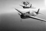 A training flight of TBM-1C Avengers based in Ft Lauderdale, Florida, Jan 1943