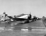 Navy SNJ-1 and NJ-1, early variants of the North American Texan, lined up at NAS Pensacola, Florida, United States, 1941.