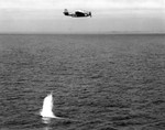 TBF-1 Avenger making a practice drop of a Mark XIII torpedo off Virginia, United States, 3 Jul 1942. This drop was made from 125 feet at 125 knots.