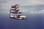 A flight of Douglas SBD Dauntless scout bombers over the Caribbean, 1944. Good view of the two-tone gray and white scheme widely used in the Atlantic Command.
