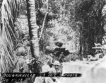 US Marines and Stuart light tank, Bougainville, Solomon Islands, 1943-1944