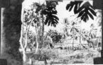 US Navy personnel on shore leave in Hawaii, 1943-1945