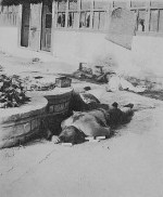 Murdered patients at Jiangjiachi Military Hospital, Jinan, Shandong, China, circa 4 May 1928, photo 2 of 5