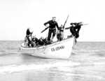 United States Coast Guard beach patrols drill with their sentry dogs at Hilton Head, South Carolina, United States, circa 1943.