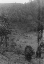 US 5332nd Brigade (Provisional) mule park area, Burma, 1945, photo 2 of 2