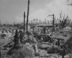 View of Kwajalein, Marshall Islands, 1944