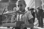 Boy with caged canary in ruins, Warsaw, Poland, Sep 1939, photo 2 of 2
