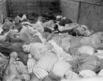 Victims of the death train that traveled from Buchenwald Concentration Camp to Dachau Concentration Camp during Apr 1945; photo taken at Dachau, Germany in late Apr or early May 1945
