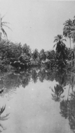 Fiji scenery, 1942-1944