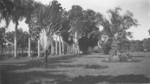 Park, Fiji, 1942-1944