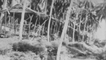 Hut, Fiji, 1942-1944