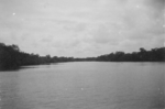 View of a river, Fiji, 1942-1944