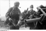 German soldier with a donkey, France, 1944; note Panzerschreck launcher and Kar98k rifle being carried by the animal