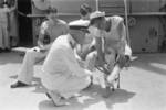 US Navy officer speaking to sailors injured by an errant Chinese anti-aircraft shell, USS Augusta, Shanghai, China, 21 Aug 1937, photo 3 of 3