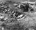 German civilians exhuming remains of 140 prisoners originally from Flossenbürg Concentration Camp about 50km to the northeast, near Schwarzenfeld, Germany, 24 Apr 1945