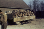 Wagon full of Buchenwald Concentration Camp victims, Weimar, Germany, 11 Apr 1945