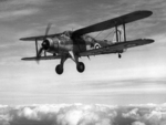 Albacore aircraft in flight, circa 1940, photo 1 of 2