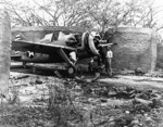F2A-3 Buffalo fighter possibly of USMC squadron VMF-212 being serviced in a camouflaged revetment, Marine Corps Air Station Ewa, US Territory of Hawaii, 25 Apr 1942