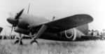 Captured Buffalo fighter with Japanese markings, date unknown