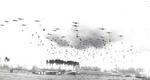 C-47 Skytrain aircraft of US 315th Troop Carrier Group dropping 41 sticks of 1st Polish Airborne Brigade into Grave, the Netherlands, 23 Sep 1944; note CG-4A gliders already on the ground. Photo 2 of 2.