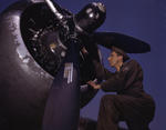 The engine of an A-20 Havoc aircraft being serviced, Langley Field, Virginia, United States, Jul 1942