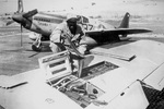 An African-American US Army personnel loading ammunition for a .50 caliber machine gun in the wing of a P-51 Mustang fighter, Italy, Sep 1944