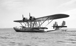 P2Y aircraft at rest on water, date unknown
