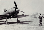 Re.2002 Ariete aircraft of Squadron 239 of the 102th Group of the Italian Regia Aeronautica 5th Squadron, Tarquinia Airfield, Italy, Jun 1943