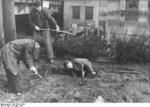 German boys digging a trench, Berlin, Germany, 10 Mar 1945