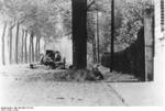 German PaK 36 fighting in France, 1940