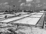 The largest of 37 American cemeteries at Tarawa, Gilbert Islands, Nov 1943; this cemetery was tended by US Navy Carpenter