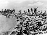 Tarawa beach after American conquest, Gilbert Islands, Nov 1943
