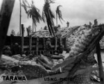 US Marines on Tarawa, Gilbert Islands, Nov 1943. Note M2 Flamethrower leaning against the wall, right center.