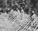 Makeshift defensive structure built by US Marines due to barbed wire shortage, Guadalcanal, Solomon Islands, 1942